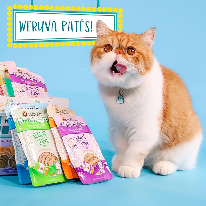 Weruva Wet Cat Food, Love Connection with Chicken and Salmon Pate, 2.8oz Slide N Serve Pouch, Pack of 12