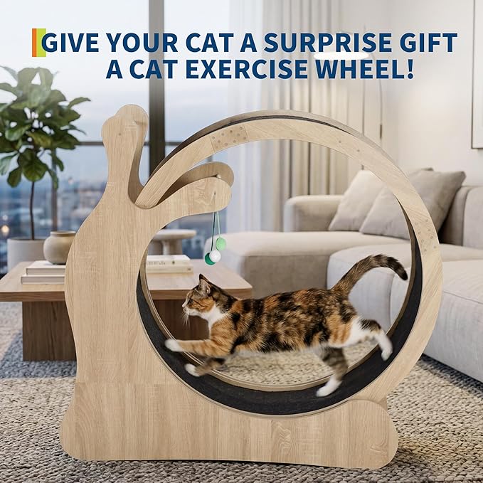Cat Exercise Wheel,41" Wooden Cat Treadmill with TPE Silent Rollers, Indoor Running Wheel with Interactive Toys, Sisal Scratching Pad & Storage Shelf, Safe Narrow Gap for Large Cats
