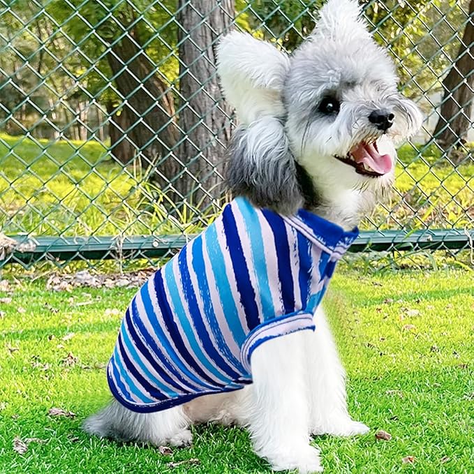 PET SHOW 4 Pack Paw Bone Printed Dog Clothes Shirts Soft Vest Lightweight Sleeveless Cats Doggies T-Shirts Puppies Tank Top Tee for Small Medium Dogs White Black Pink Blue (Small, Blue for Boys)