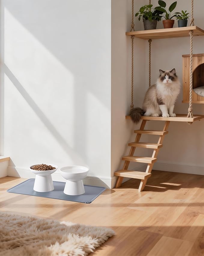 CEEFU 2 Elevated Ceramic Cat Bowls Upgraded with Food Mat, Extra Wide for Food & Water – Whisker Fatigue Shallow Food Dish, Lead & Cadmium-Free, Raised Height for Cats, White