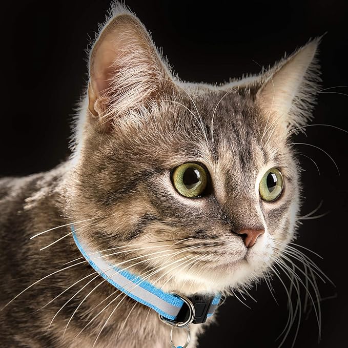18 Piece Reflective Cat Collars with Bell Adjustable Durable Nylon Cat Collars with Safety Buckles and 6 Piece Weatherproof Metal ID Tags Pendant Anti-Lost ID Tags for Puppy Kittens
