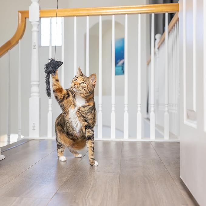 SPOT A-Door-Able Bouncing Mouse Cat Toy - Hanging Rattle & Catnip Interactive Toy, Entertain Cats for Hours, Indulge Natural Hunting Instincts, Provide Mental Stimulation, Suspend From Any Door Frame