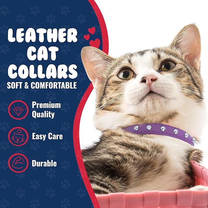 Studded Cat Collar, Genuine Leather Kitten Collar, Sturdy Breakaway Cat Collar with Bell and Elastic Stretch, Cat Accessories, Orchid Purple, 10 x 1/2 inches - Angel Pet Supplies
