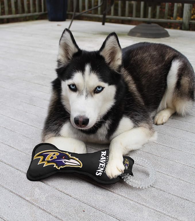 Pets First NFL Baltimore Ravens Dental Dog TUG Toy with Squeaker. Tough PET Toy for Healthy Fun, Teething & Cleaning Pet's Teeth & Gum., Team Color, one Size (BAL-3310)
