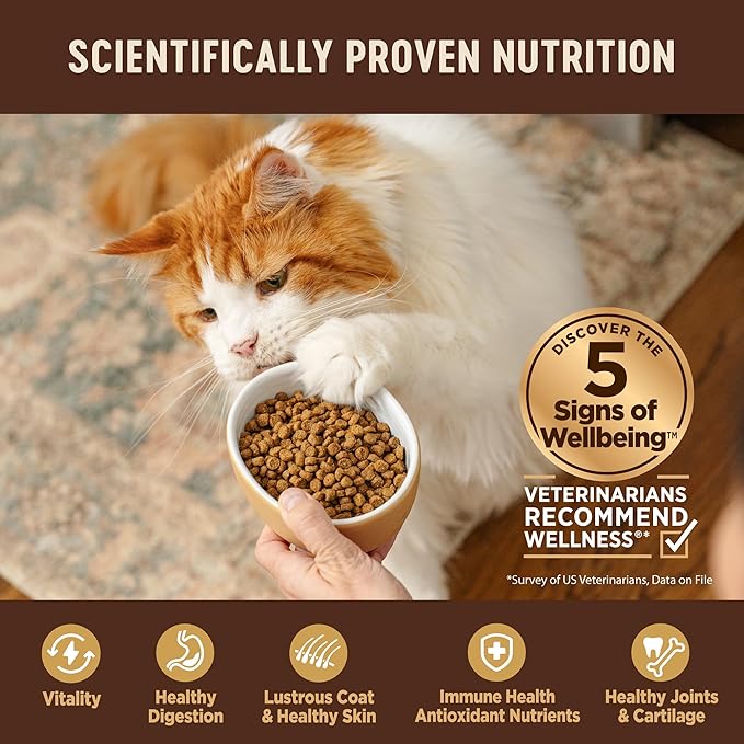 Wellness CORE Adult Dry Cat Food, Natural, Grain Free Kibble, Turkey and Chicken Recipe, 5 lb Bag