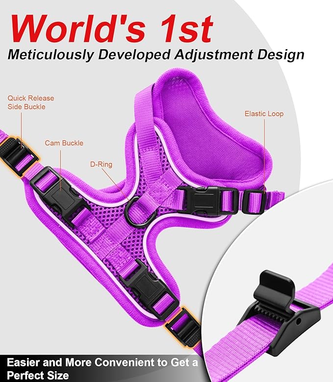 Cat Harness and Leash for Walking Escape Proof Soft Adjustable Cat Leash Breathable Comfortable Vest Easy to Wear Kitten Harness for Outdoor Travel (Purple, M (13-18lb))