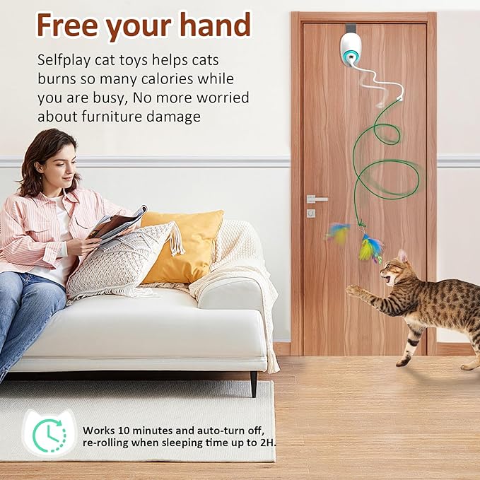 Cat Toys for Indoor Cats,Interactive Door Hanging Retractable Kitten String Toys,Electronic Self Play Cat Teaser Toy