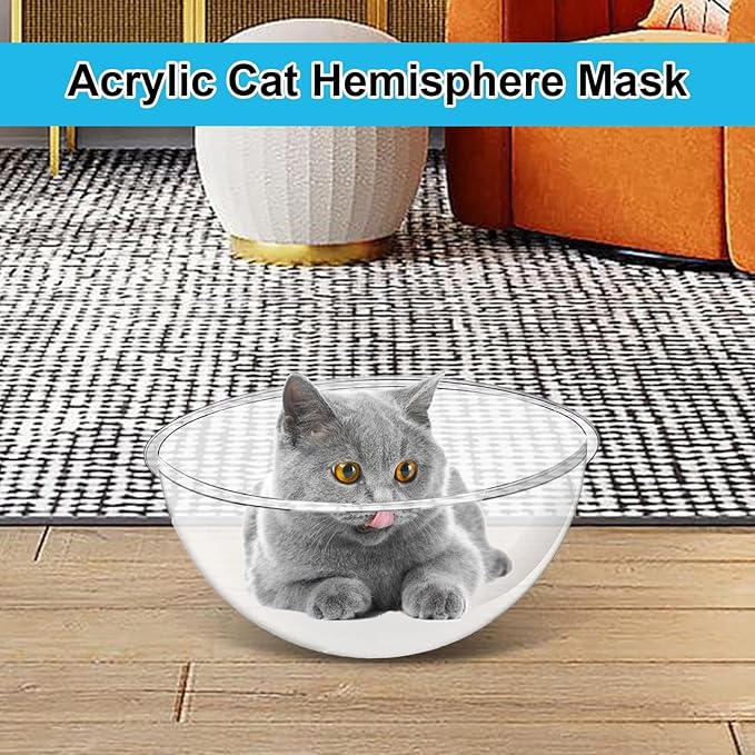 Small Space Cat Furniture - Transparent House, Space Capsule Bed, Anti-Scratch Pet Nest, Window Perch, Bowl Bed for Pets