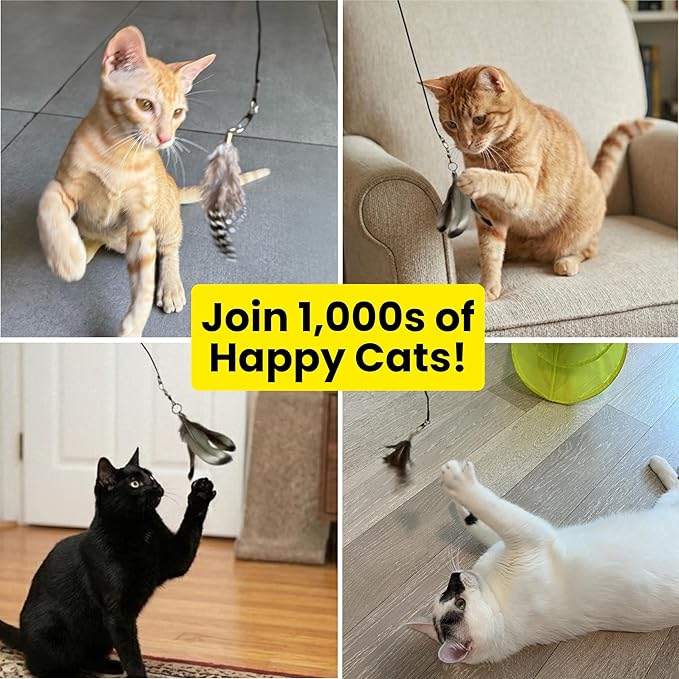 Cat Feather Toy Refill 3-Pack - Natural Feather Cat Toy - Small Size Cat Wand Attachments - Official Cat Toy Feather Replacement for Forever Stick Cat Wand Toy - Cat Wand Refill - Cat Lure and Teaser