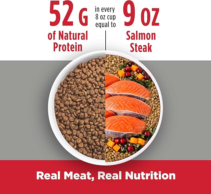 Nulo Freestyle Adult Trim Dry Cat Food - Salmon & Lentils, High Protein, Grain Free, Weight Management Kibble with Probiotics & L-Carnitine, 4lb Bag