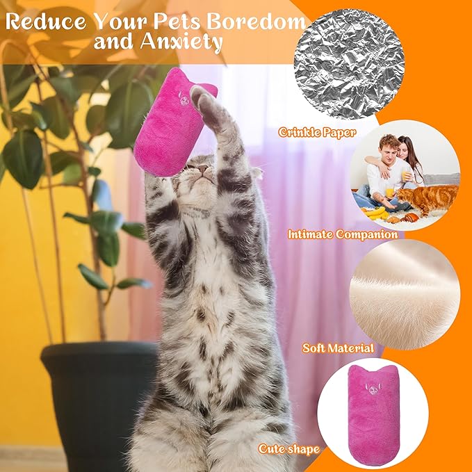 Seyezo Cat Toys for Indoor Cats, 5Ps Cats Fetch Toys, Fluffy Toys for Playing, Interactive Kitten Toys, Kitty Chew Teething Toys, Cat Chew Toy for Kittens (Multi Color, 5 Pack)