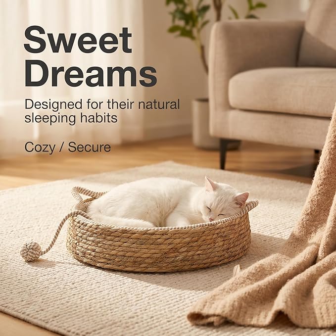 Handwoven Cat Basket Basket with Cotton Rope Liner Cat Ear Design Round Cat Scratcher Bed with Interactive Toy Ball Breathable All Season Scratch-Resistant Woven Cat Bed for Indoor Cats All Breeds