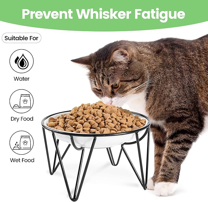 Ceramic Elevated Cat Bowls - Whisker Friendly, Anti-Vomiting Cat Food Plate, Stylish, Safe and Hygienic (Fishboon, 1 Pack)