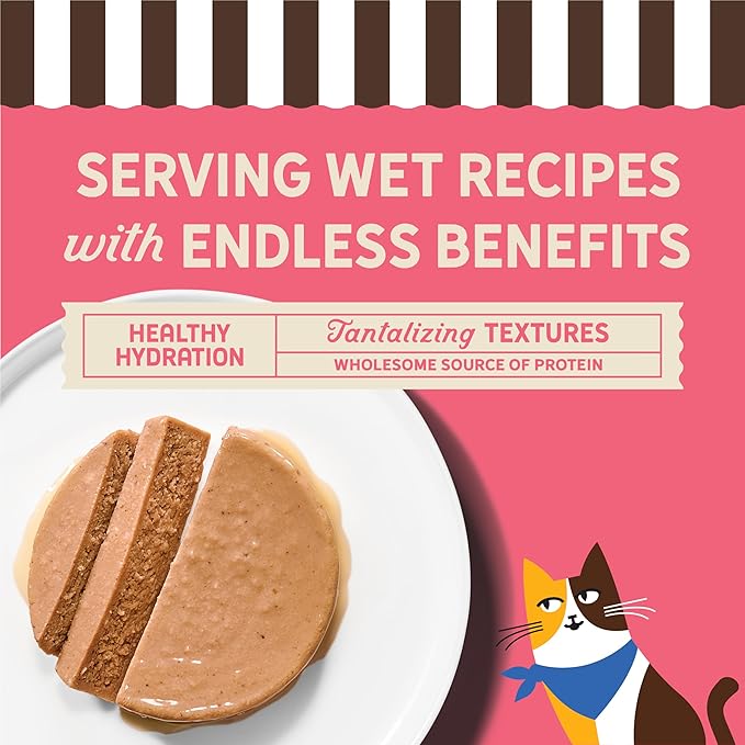 Merrick Purrfect Bistro Grain Free Premium Soft Canned Pate Adult Wet Cat Food, High Protein Salmon Recipe - (Pack of 24) 3 oz. Cans