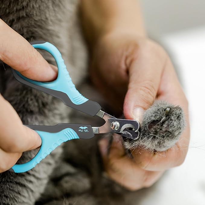 Mr. Pen- Cat Nail Clipper, Stainless Steel, Professional Sharp Cat Claw Trimmer for Small and Medium Cats, Pet Nail Clipper with Sturdy Non Slip Handle