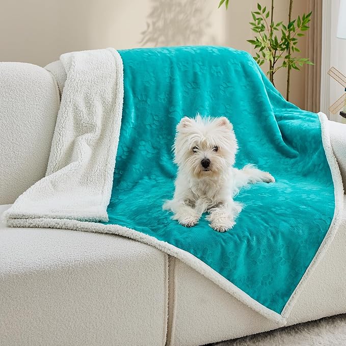 Qeils Pet Blankets for Cats - Waterproof Cat Blanket Washable - Sherpa Fleece Puppy Blanket, Soft Plush Reversible Throw Protector for Bed Couch Car Sofa, 30"X40", Teal