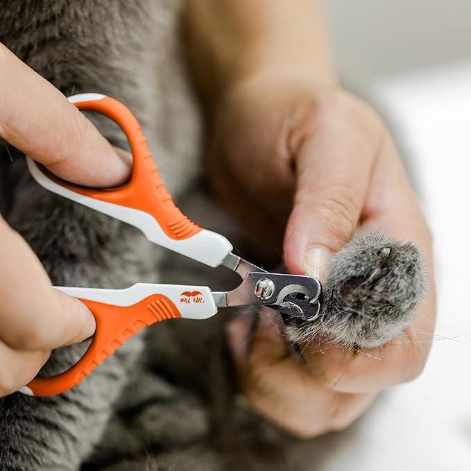 Mr. Pen- Cat Nail Clipper, Stainless Steel, Professional Sharp Cat Claw Trimmer for Small and Medium Cats, Pet Nail Clipper with Sturdy Non Slip Handle