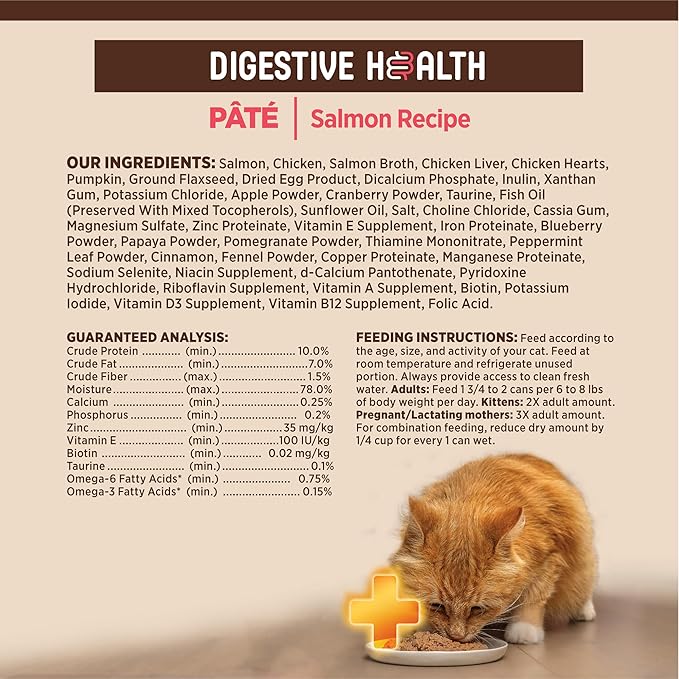 Wellness CORE+ Digestive Health Pate Adult Canned Wet Cat Food, Natural, Protein Rich, Grain Free, Salmon Recipe, 3 oz, Pack of 12 Cans
