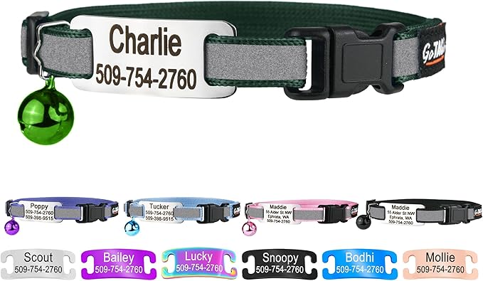 GoTags Personalized Reflective Cat Collars with Tag, Engraved Custom with Name and Phone, Breakaway Collar with Safety Buckle and Bell, Adjustable for Cats and Kitten, (Hunter Green with Nameplate)