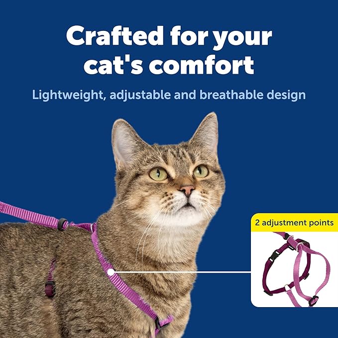 PetSafe Come with Me Kitty Harness and Bungee Leash Adjustable, Lightweight Harness for Cats Medium, Dusty Rose