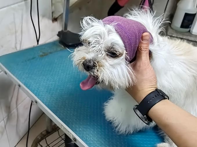 Dog Head Cover Keep Calm Ear Wrap Neck Muff Wrap Hematoma Dog Ear Cover Pail Lilac+Pink M