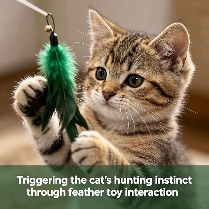 11PCS Feather Cat Toy Set, Interactive Cat Teaser Wand for Indoor Cats, 39in Cat Fishing Pole & 18.5in Telescopic Wand, 6 Feather Refills & 1 Bird Toy, Kitten Exercise Boredom Relief