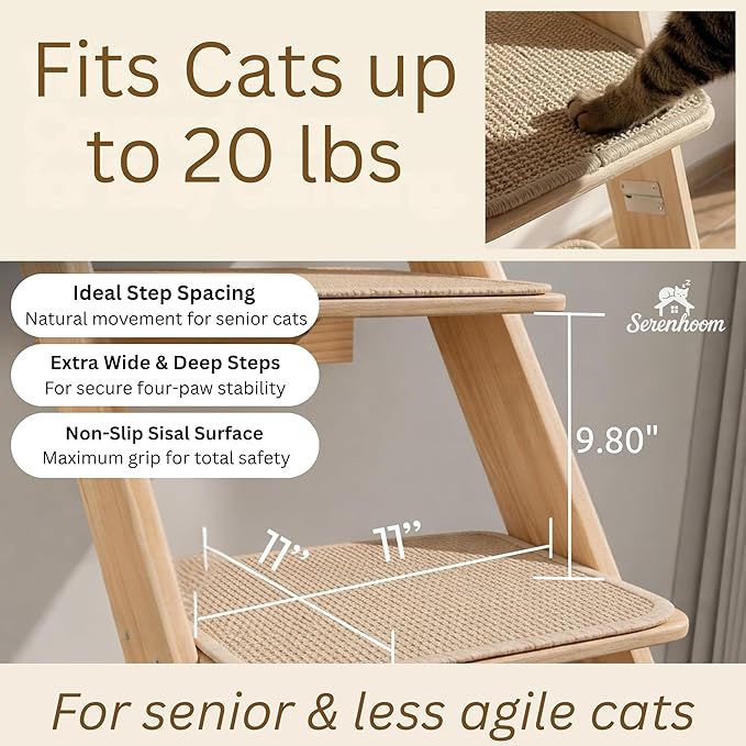 65" Tall 6-Level Cat Ladder for Window & wall | Fits Cats up to 20 lbs |Senior & Less Agile cat Stairs for Window with 55° Gentle Incline | Requires 31" Floor Clearance | No-Drill Glass Installation
