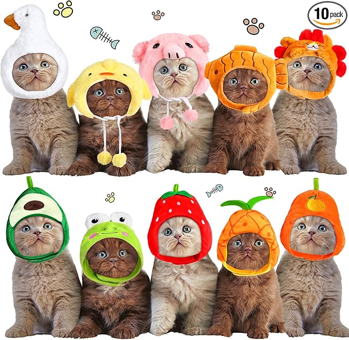 Reginary 10 Pcs Cat Hat Cat Costumes Animal and Fruit Shaped Hat Adjustable Accessory Headwear for Small Dog Puppy Kitten Pet Halloween Christmas Birthday Party Photo Prop (Style B)