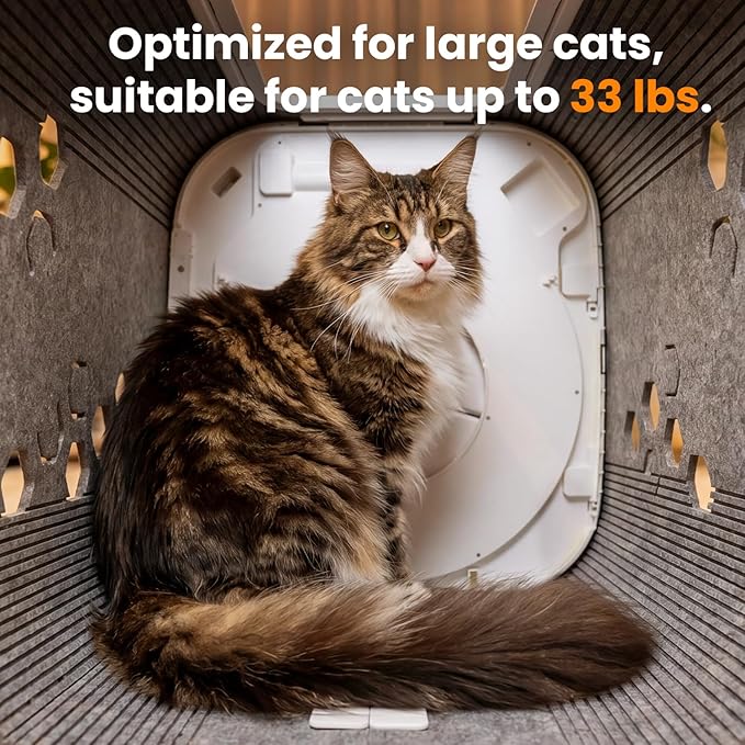 Cat Self Groomer Plus for Hairball Control and Shedding Relief 360° Skin Friendly Brush Pet Hair Remover Gentle Self Cleaning Automatic Fur Collection Grooming House for Middle Large Cats