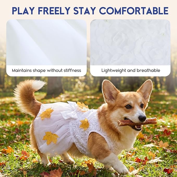 ASENKU Dog Dress Pet Wedding Dress Princess Lace Puppy Birthday Party Outfit Formal Apparel Girl for Small Medium Dogs Cats (Small, White)