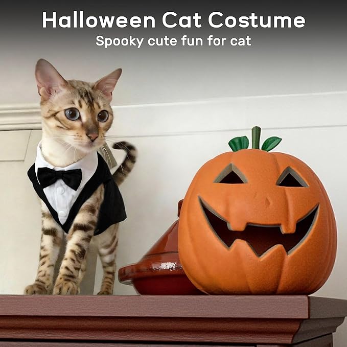 PUMYPOREITY Cat Tuxedo Suit Formal Wear with Bow Tie, Soft Skin-Friendly Cat Costumes for Cats Only, Elegant Outfit for Male Female Cats, Perfect for Wedding Birthday Photo Shoots, M, Black