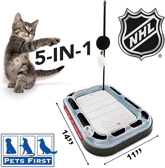 Pets First 5-in-1 NHL Carolina Hurricanes Hockey Field Cat Scratcher Toy with Interactive Cat Ball Bell in Tracks