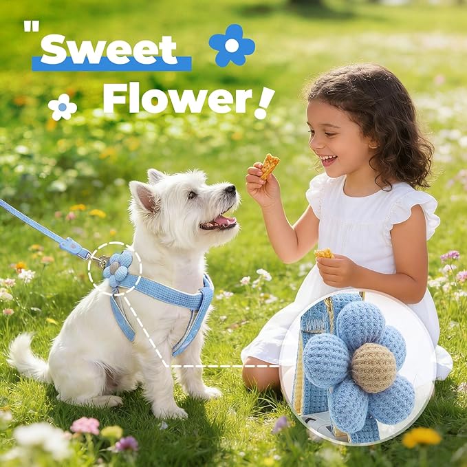 PETCARE Cute Flower Dog Harness and Bowtie Leash Set Easy Walk Puppy Dog Halter Harnesses for Small Dogs Boy Step in Dogs Harness with Buckle (Blue, Chest Adjustable 13"-20", Rope Width 0.79")