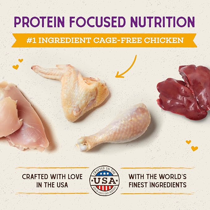 Stella & Chewy's Raw Coated Cat Food - High Protein, Grain-Free Kibble with Cage-Free Chicken - Premium Digestive Support with Probiotics - Natural Small Kibble - Perfect for Picky Eaters - 5 lb Bag