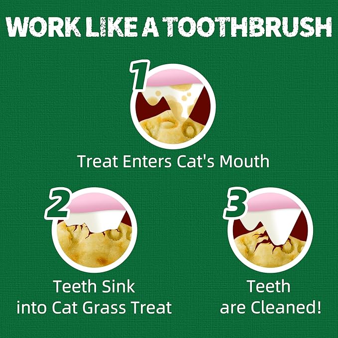 Just Try 13.4 OZ Cat Grass Treats Salmon Oil Natural Salmon Kitten Healthy Cat Treats Training Biscuits Snacks Fish Oil Omega 3 Supplements for Cats Joint Support & Skin Coat Health