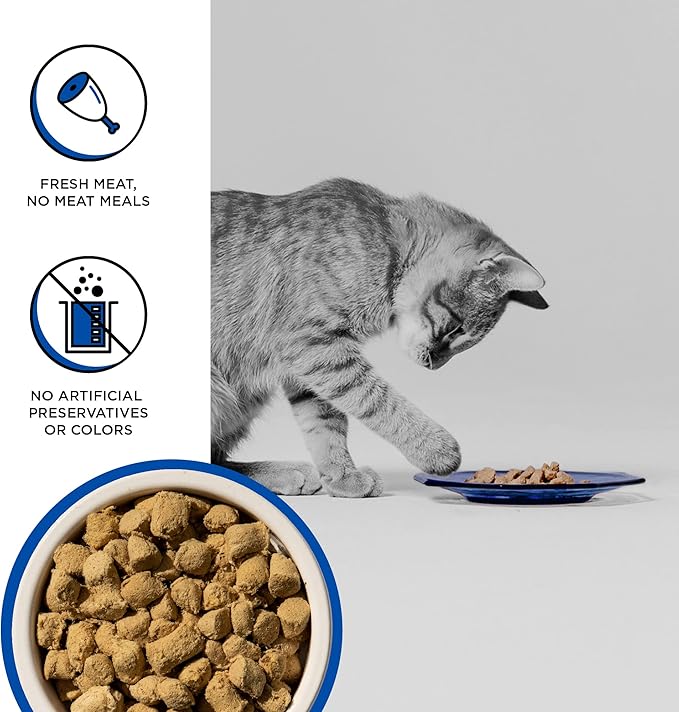 BIXBI Rawbble Freeze Dried Cat Food, Turkey Recipe, 10 oz - 94% Meat and Organs, No Fillers - Pantry-Friendly Raw Cat Food for Meal, Treat or Food Topper - USA Made in Small Batches