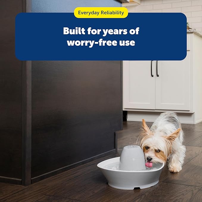 PetSafe Drinkwell Replacement Foam Filters - Compatible with PetSafe Ceramic and Stainless Steel Pet Fountains for Water Dispensers, 2 Pack (PAC00-13711)