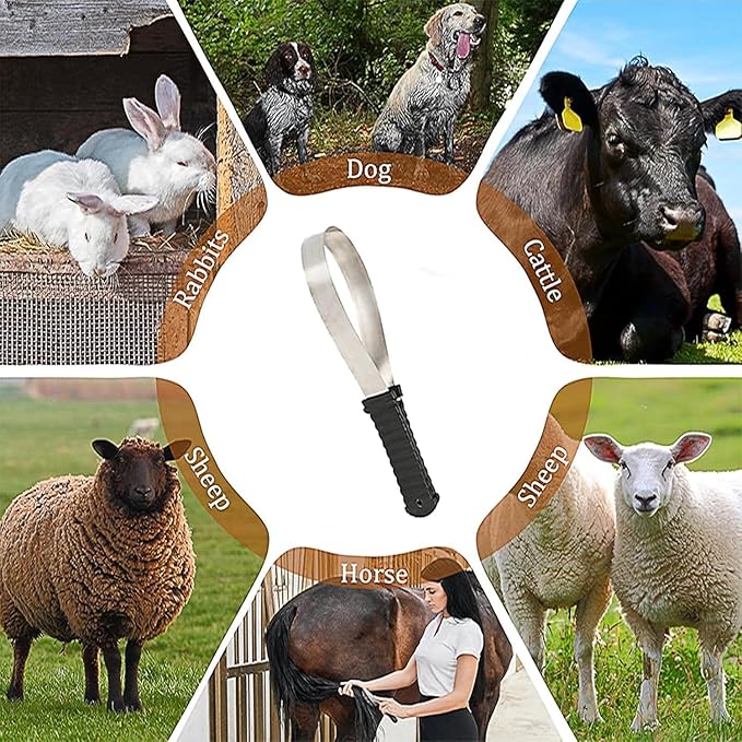 Dual-Sided Shedding Blade,Professional Stainless Steel Safety Horse Fur Scraper-Suitable for Pets Such As Horses, Cats and Dogs