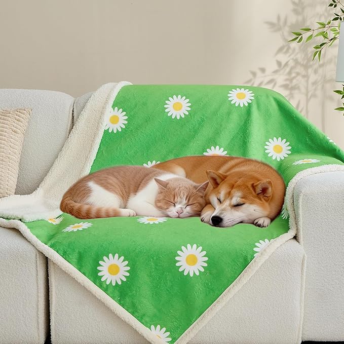 Qeils Pet Blankets for Cats - Waterproof Cat Blanket Washable - Sherpa Fleece Puppy Blanket, Soft Plush Reversible Throw Protector for Bed Couch Car Sofa, 50"X60", Daisy Flower