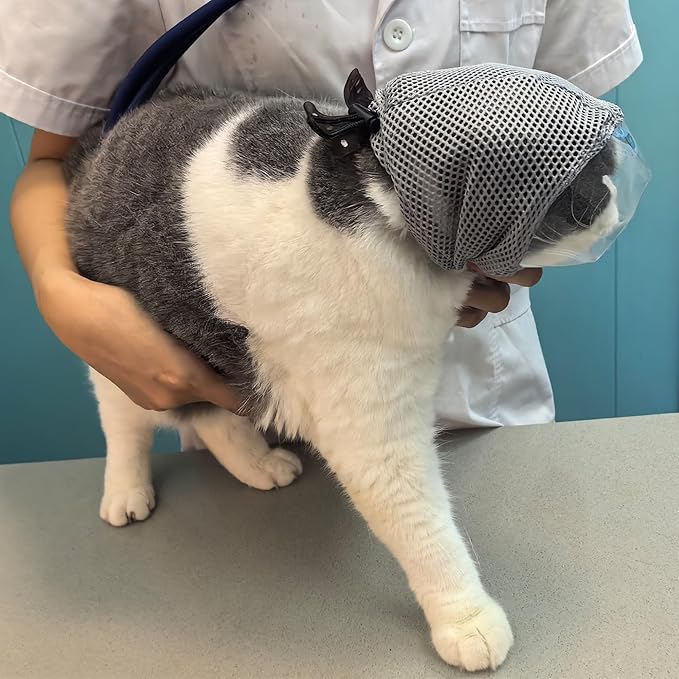 Cat Muzzle for Grooming, Adjustable Breathable Mesh Cat Mask for Nail Clipping(Grey M)