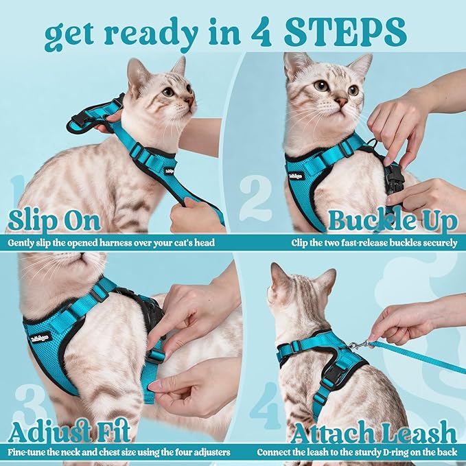 rabbitgoo Cat Harness and Leash for Walking, Escape Proof Soft Adjustable Vest Harnesses for Cats, Easy Control Breathable Reflective Strips Jacket, Teal, S