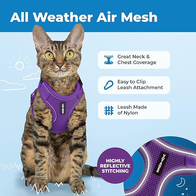 Voyager Escape-Proof Step-in Lock Cat Harness & 5ft Neoprene-Handle Leash Set All-Weather Mesh with Reflective Stitching for Small to Large Cats by Best Pet Supplies, Purple (327), XS