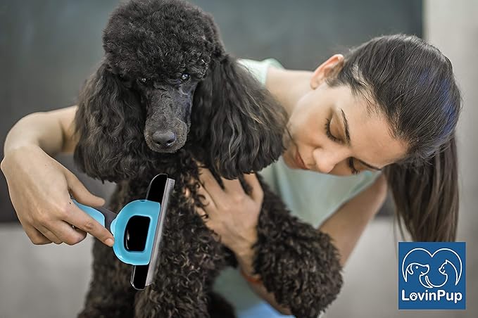 Cat & Dog Brush for Shedding – 95% Shedding Reduction for Cleaner Homes & Happier Pets – Removable Stainless Steel Comb w/Comfort Grip Handle – Deshedding Tools for Cats & Dogs w/Dense Coats
