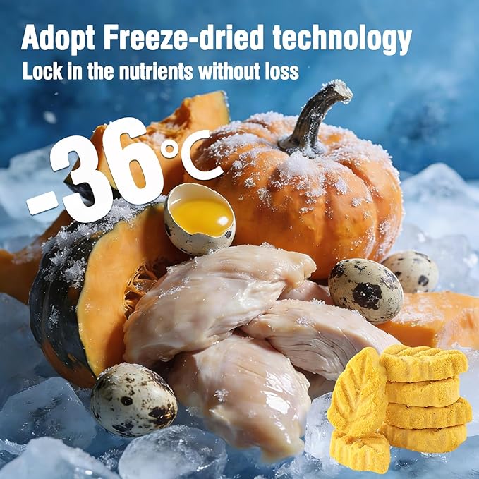 50g Pumpkin Cat Treats, Chicken Cat Treats for Digestive Support and Teeth Cleaning, Edible Kitten Snack
