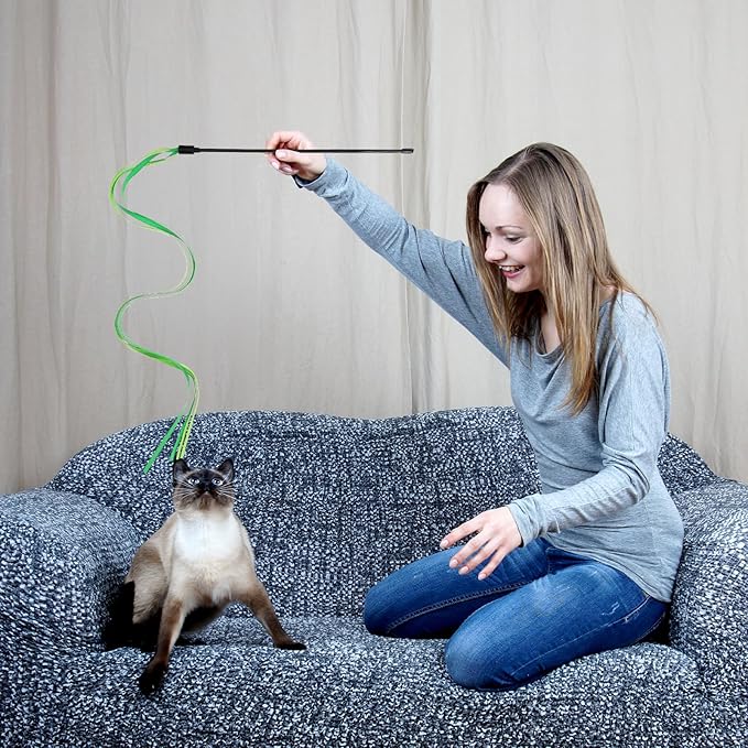 4 Pcs Ribbon Cat Toy,Interactive Cat Toy String,Colorful Kitten Toys Ribbon,Ribbons Toys for Cats for Indoor Cats for Kittens Teaser Training Exerciser Playing Accessories