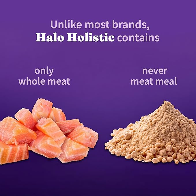Halo Holistic Cat Food Wild Caught Salmon & Whitefish Formula, Healthy Grains Dry Cat Food, Complete Digestive Health, Kibble for Adult Cats, 3 lb Bag