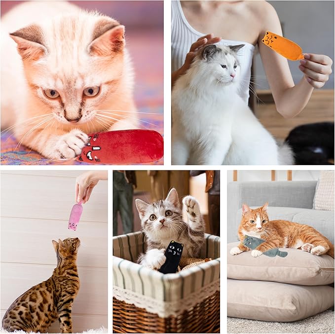 5pcs Catnip Toys, Funny cat Toy, bite Resistant cat Toys, Indoor Cartoon cat Toys for cat,cat chew Toy