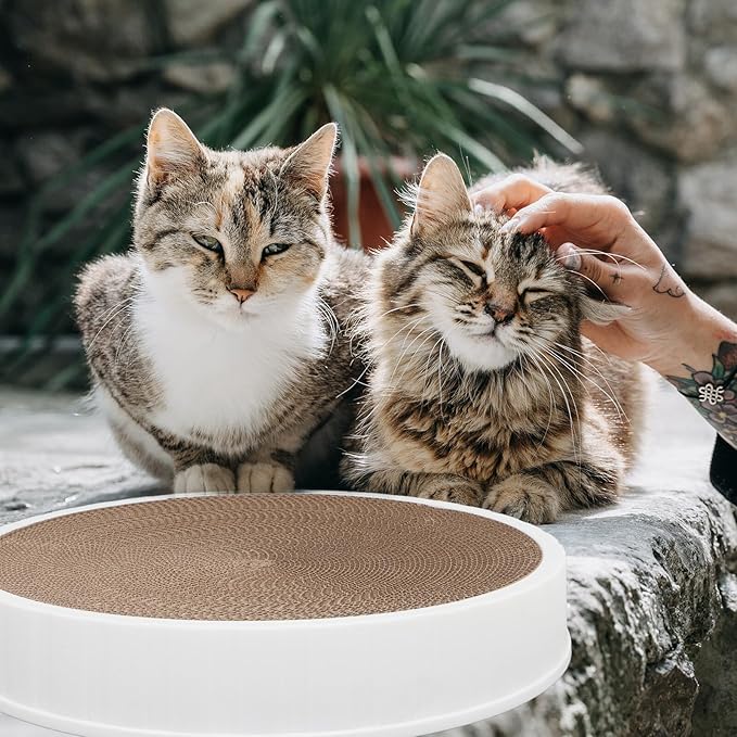 Artibetter Corrugated Cat Scratching Board Bowl with Replaceable Cardboard Core Round Cat Lounger Scratch Pad Furniture