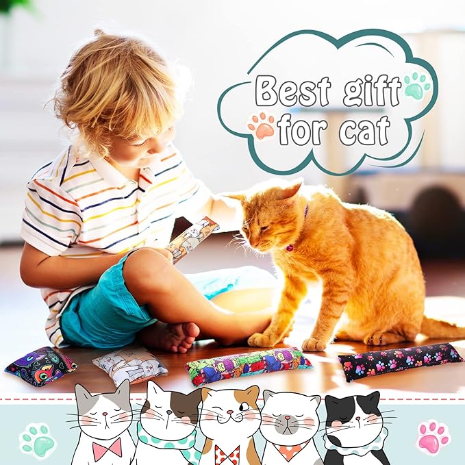 Hungdao 8 Pieces Catnip Kicker Toys Cat Kick Sticks Interactive Pillow Toys for Indoor Kitten Pet Chew Supplies, 2 Shapes and 4 Designs