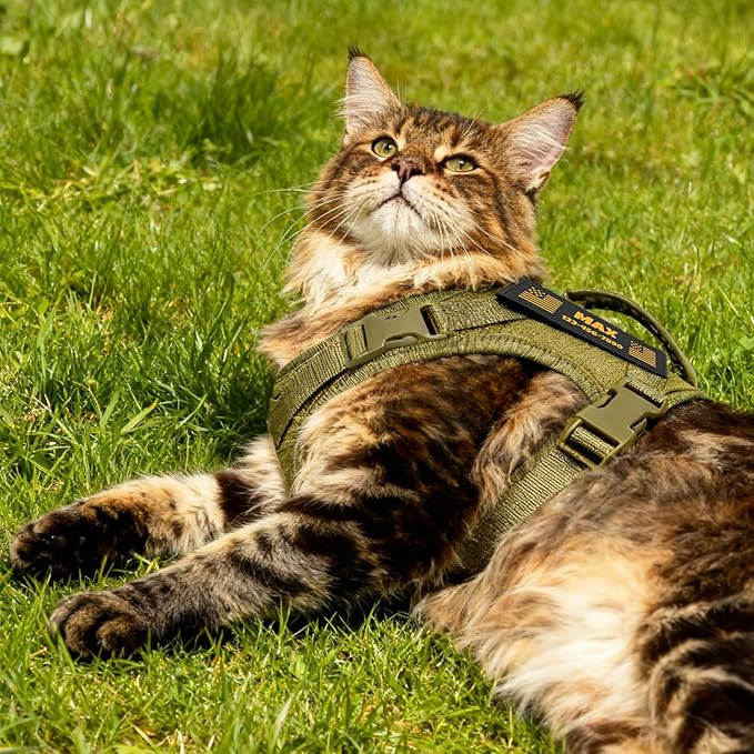 Cat Harness and Leash Escape Proof Tactical Cat Harness with Custom Patches Adjustable Soft Vest for Walking & Training Comfortable Outdoor Gear Fits Small Medium Large Cats (8-20 lbs)